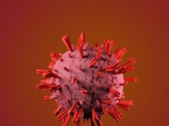 Top 10 Best DNA Testing Kits in 2023